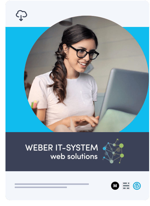 Weber IT-System header